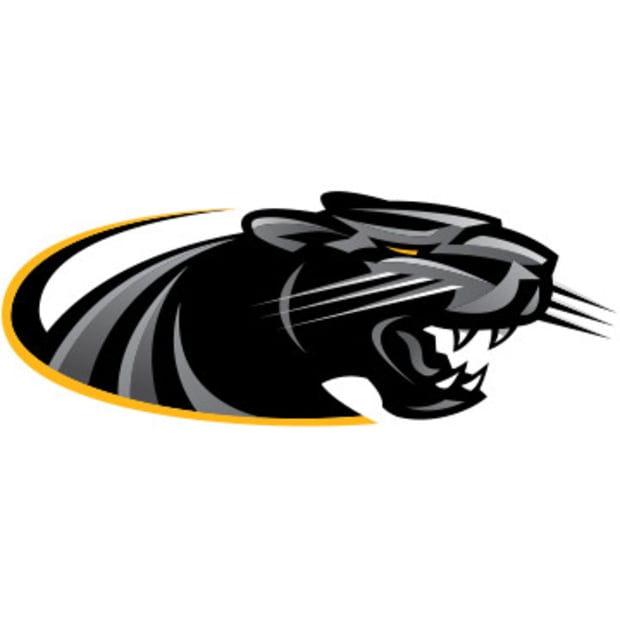 Milwaukee Panthers Logo